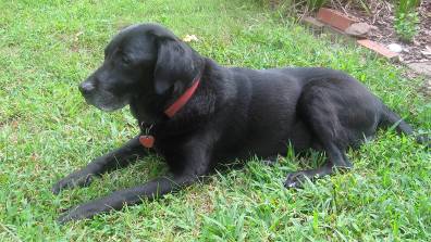 Beauty waiting for a treat